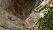 Colombie : des milliers de peintures rupestres vieilles de 12 000 ans révélées dans la jungle