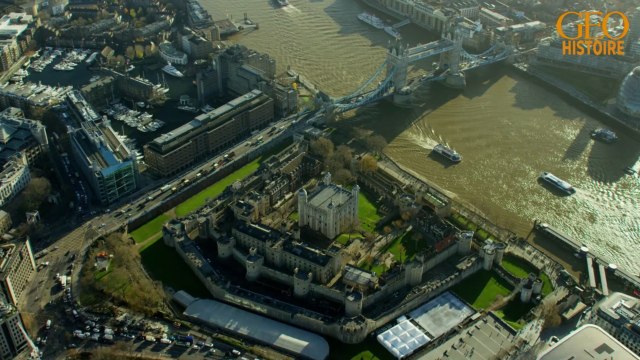 Disparition d'un corbeau à la Tour de Londres : l'histoire d'un mauvais présage