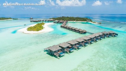 Aux Maldives, cet hôtel de rêve propose un forfait illimité