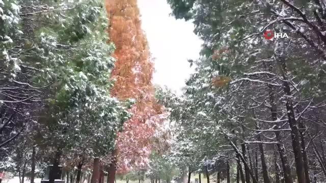 Çin'de Shaolin Tapınağı'nda kartpostallık görüntüler