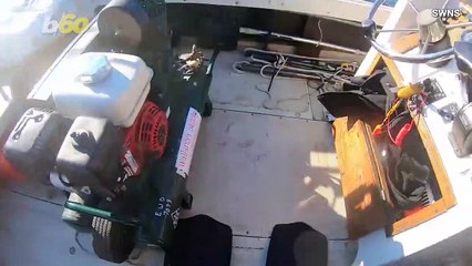 1,200-Year-Old Canoe Discovered in a Lake in Wisconsin