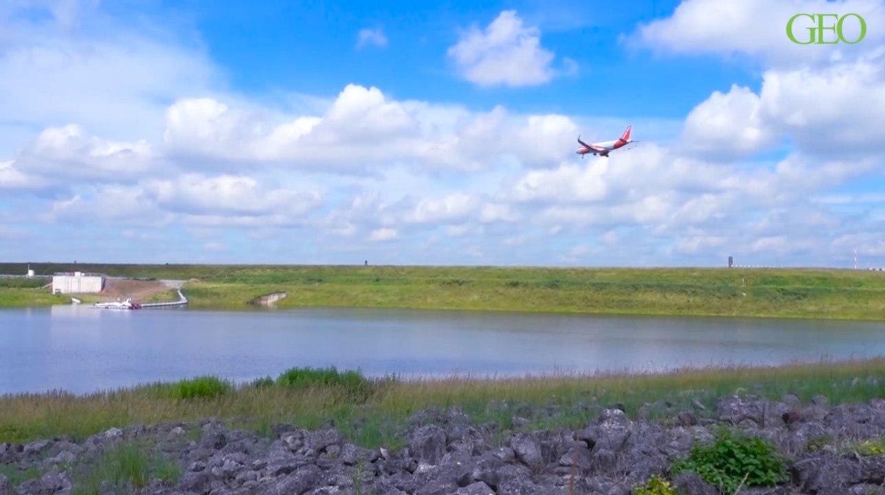 Environnement : l'aéroport de Roissy, étonnant sanctuaire de biodiversité