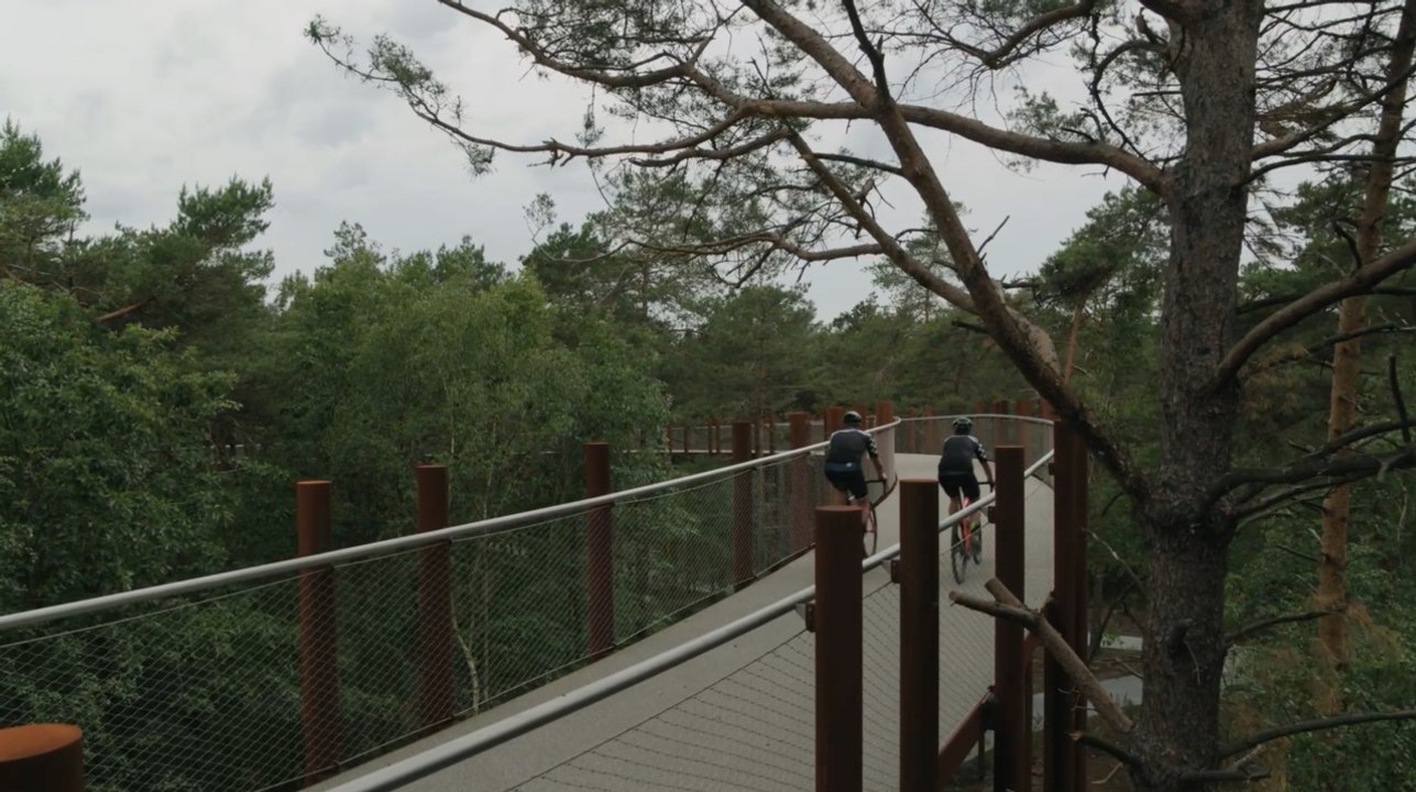 Belgique : Cycling Through The Trees, une incroyable piste cyclable perchée au milieu des arbres
