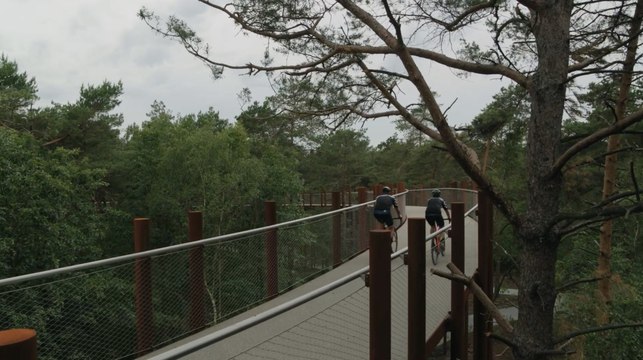 Belgique : Cycling Through The Trees, une incroyable piste cyclable perchée au milieu des arbres