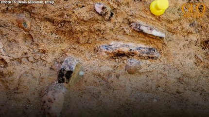 Découverte d'un site préhistorique et de restes d'une défense près de Paris