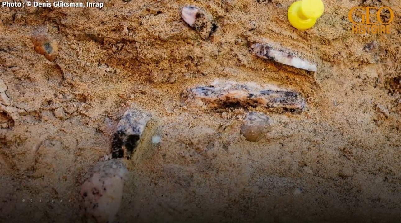 Découverte d'un site préhistorique et de restes d'une défense près de Paris