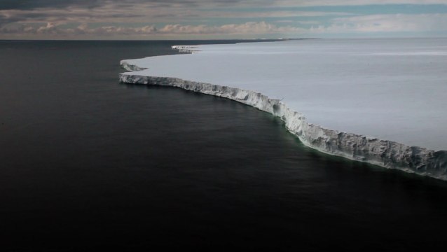 Environnement : des chercheurs découvrent des restes d'une ancienne colonie de manchots Adélie en Antarctique