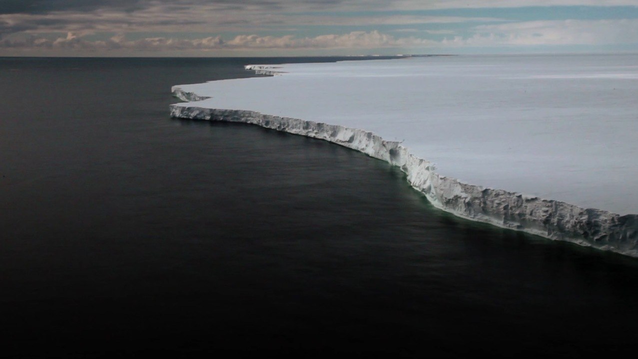 Environnement : des chercheurs découvrent des restes d'une ancienne colonie de manchots Adélie en Antarctique