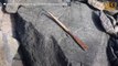 Archéologie : des dizaines d'artéfacts ont encore refait surface en Norvège suite à la fonte des glaces