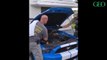 Floride : ce python birman se trouvait sous le capot d'une Ford Mustang !