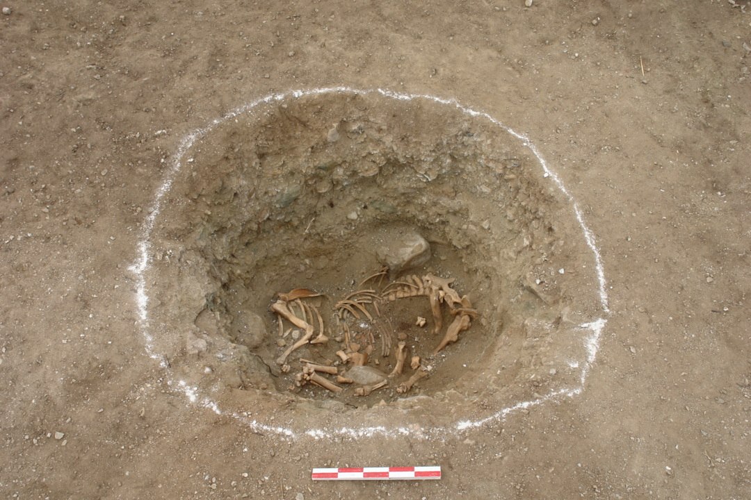 Ces os de chevaux apportent les premières preuves de la pratique de l'équitation en Chine