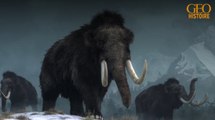Histoire : en Russie, des éleveurs de rennes découvrent les restes d'un mammouth