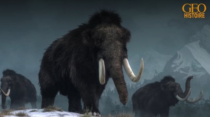 Histoire : en Russie, des éleveurs de rennes découvrent les restes d'un mammouth