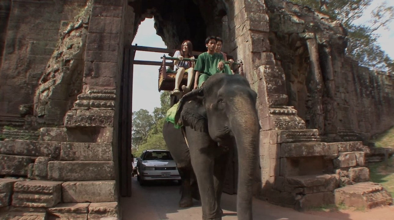 Environnement : les balades à dos d'éléphant bientôt interdites à Angkor au Cambodge