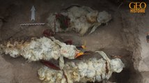 Archéologie : des restes de lamas très bien préservés découverts au Pérou