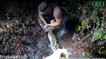 Floride : les images saisissantes de la capture d'un python birman géant