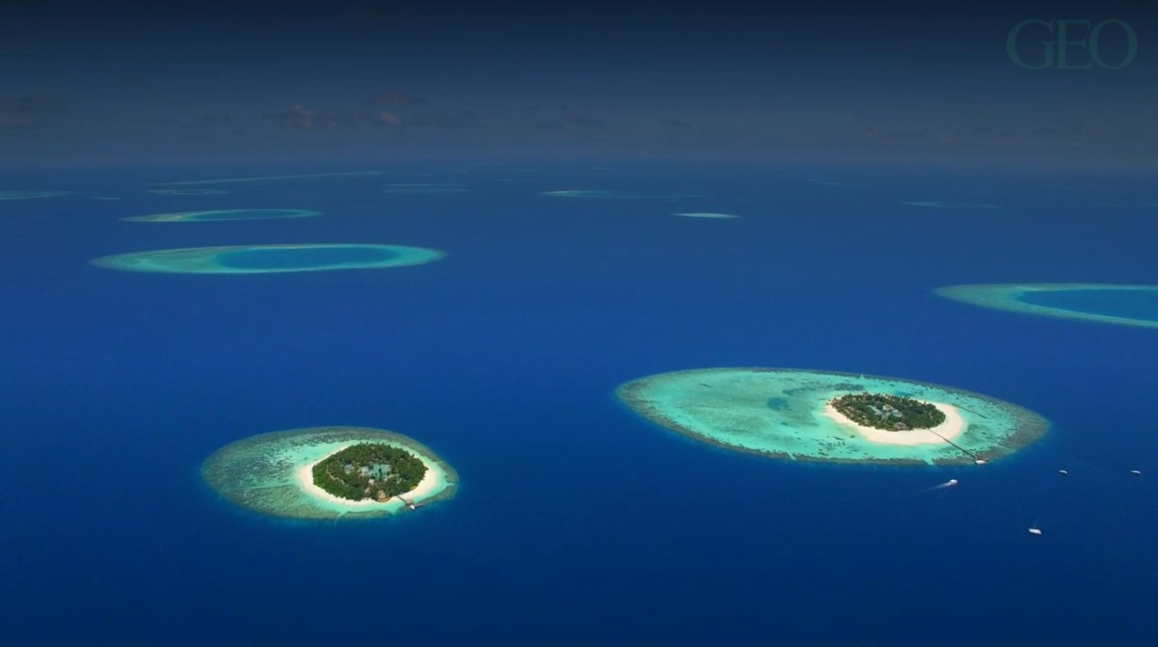 Alerte emploi : devenez "libraire aux pieds nus" aux Maldives !