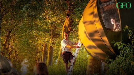 Belgique : dormez suspendu aux arbres grâce à ces tentes en forme de larme