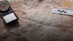 Arabie saoudite : découverte d'empreintes humaines vieilles de 120 000 ans