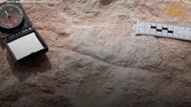 Arabie saoudite : découverte d'empreintes humaines vieilles de 120 000 ans