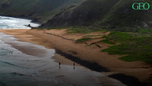 Fernando de Noronha, l'archipel brésilien réservé aux touristes ayant contracté le coronavirus