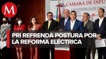 “¡Tengan su reforma eléctrica!”: PRI discutirá iniciativa tras elecciones de 2022