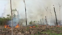 Au Brésil, les incendies illégaux continuent de ravager la forêt amazonienne