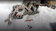 Un chamois enfoui sous la glace depuis 400 ans découvert en Italie