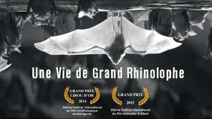 Extrait du film Une vie de Grand Rhinolophe réalisé par Tanguy Stoecklé