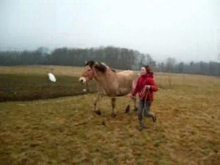 Diaporama twixet cheyko