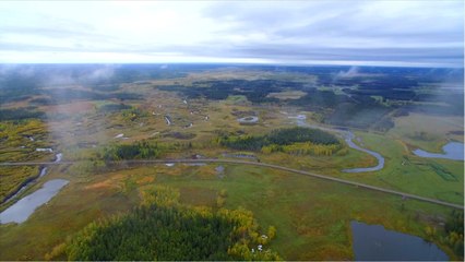 En pleine vague de chaleur, la Sibérie enregistre un nouveau record de température