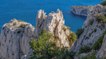 Deux rorquals communs filmés au large des Calanques de Marseille