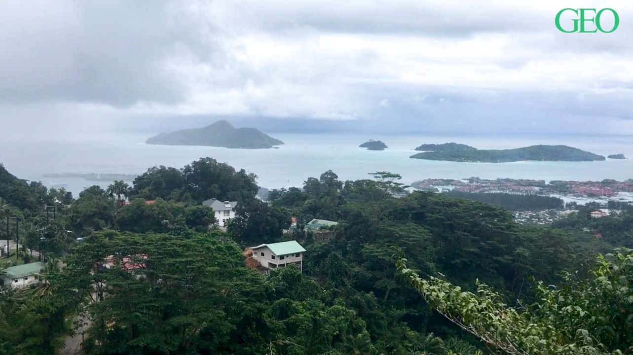 Seychelles : à la découverte des îles protégées de l'archipel