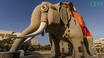 Etats-Unis : Airbnb vous propose de passer la nuit dans un éléphant pas comme les autres !