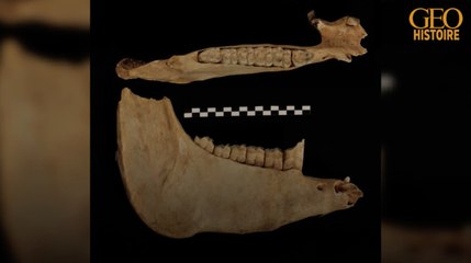 Des archéologues prouvent l'existence du polo à dos d'âne en Chine