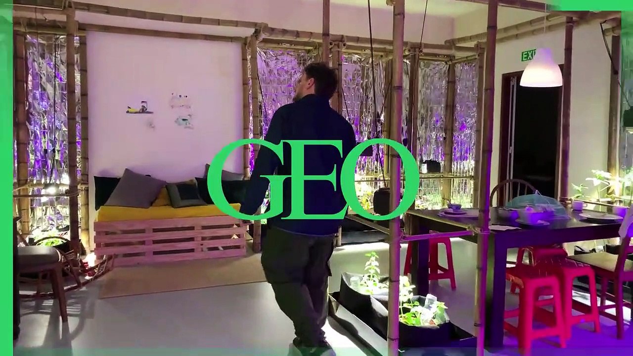 Changement climatique : voici à quoi pourrait ressembler l'appartement du futur