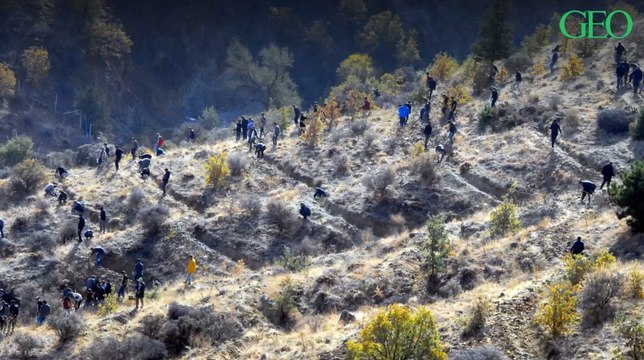 Turquie : près de 11 millions d'arbres plantés cet automne seraient déjà morts
