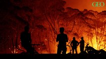 Incendies en Australie : les scientifiques avaient tiré la sonnette d'alarme il y a 12 ans