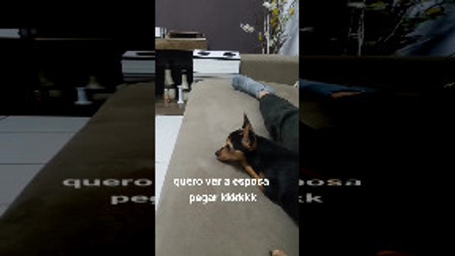 Dog Aggressively Protects Wallet