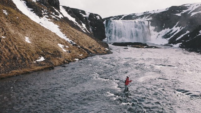 Un plaidoyer anti-saumons d'élevage signé Patagonia