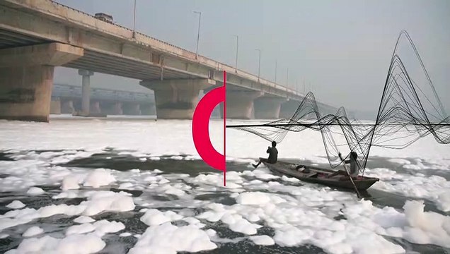 Inde : une mousse toxique recouvre la rivière Yamuna