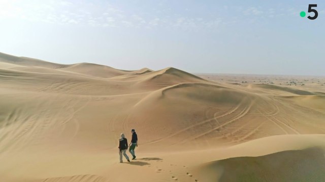 Aux Emirats arabes unis, l'innovation technologique face aux défis climatiques