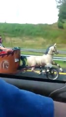 Se faire doubler par un char romain en pleine autoroute... La classe