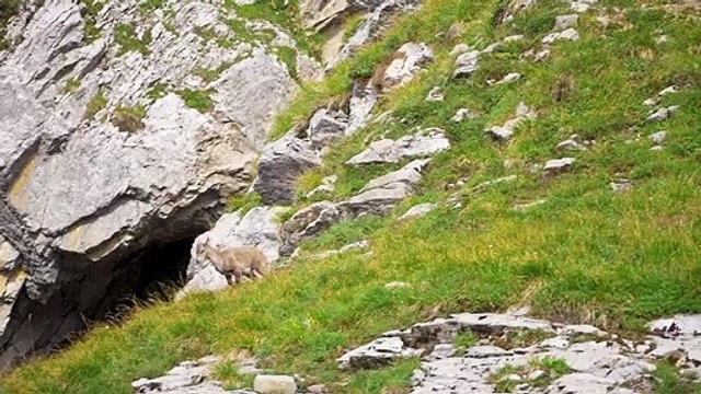 Megève et Combloux, Haute-Savoie (74)