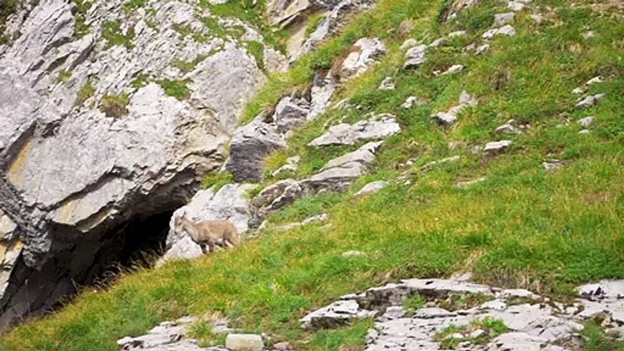 Megève et Combloux, Haute-Savoie (74)
