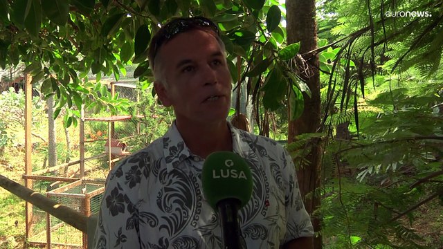 Cabo Verde tem santuário para macacos