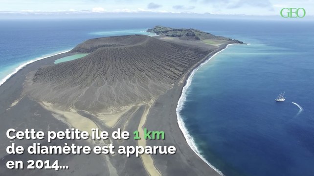 Cette île apparue il y a seulement quatre ans accueille déjà une faune et une flore importante