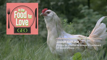 Podcast audio : les volailles de Bresse dans In the Food for Love