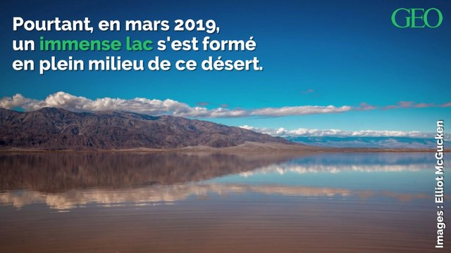 Californie : un immense lac est apparu dans le désert de la vallée de la Mort