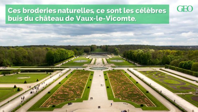 Les buis de Vaux-le-Vicomte vont bientôt disparaître